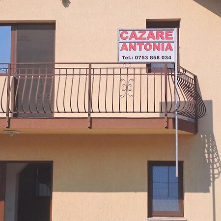 Cazare Antonia Curtea de Argeş Exterior foto